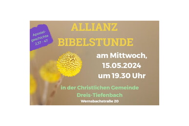 Allianz Bibelstunde