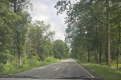 Rückfahrt